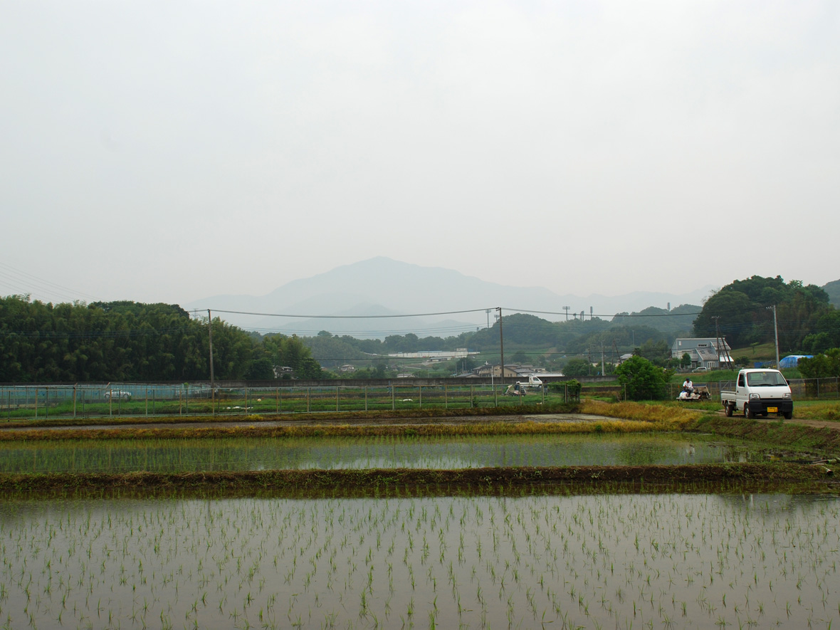 中和ファーム　梅雨 田植え